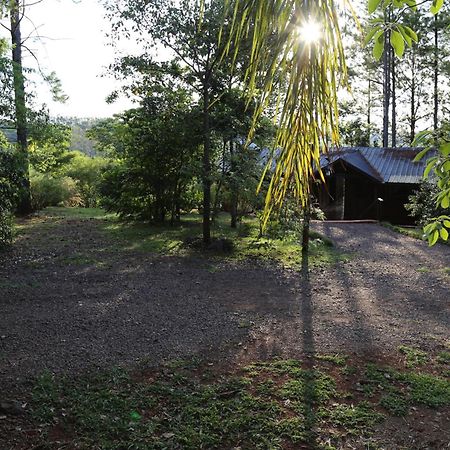 Piel de Timbó Hotel Aristóbulo del Valle Exterior foto